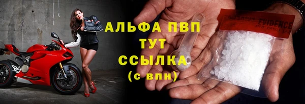 эйфоретик Арсеньев