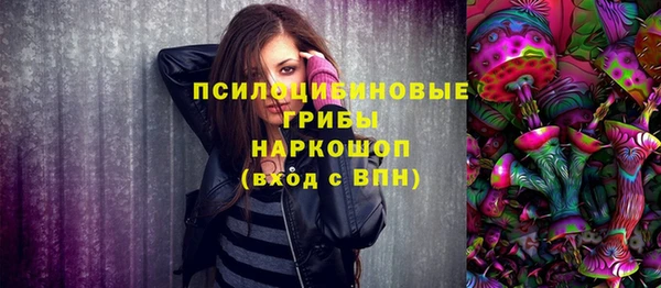 эйфоретик Арсеньев